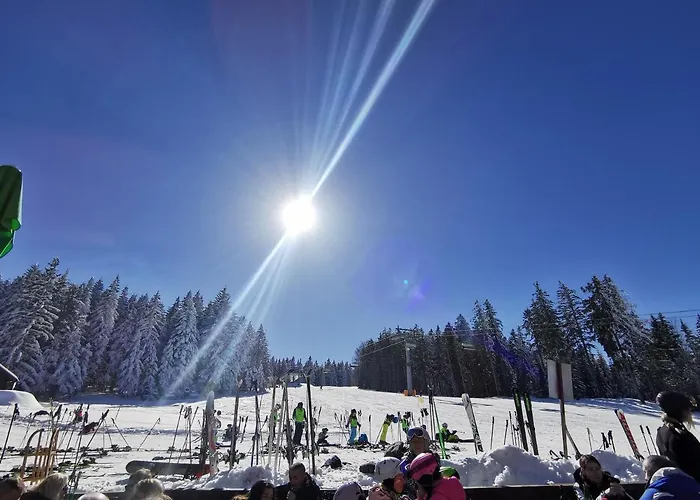Ruska Koca * Hočko Pohorje